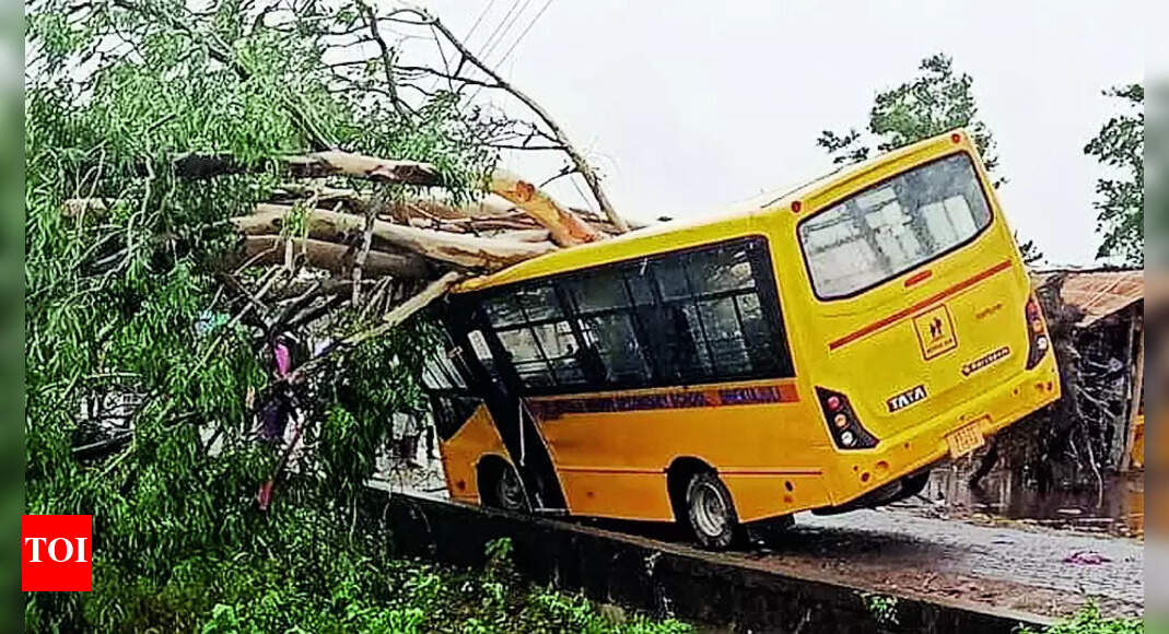 Cyclone Remal snaps power, net in Assam & Tripura | Guwahati News - Vimarsana News