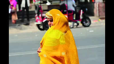 No respite from heat in Rajasthan,3 deaths confirmed in city