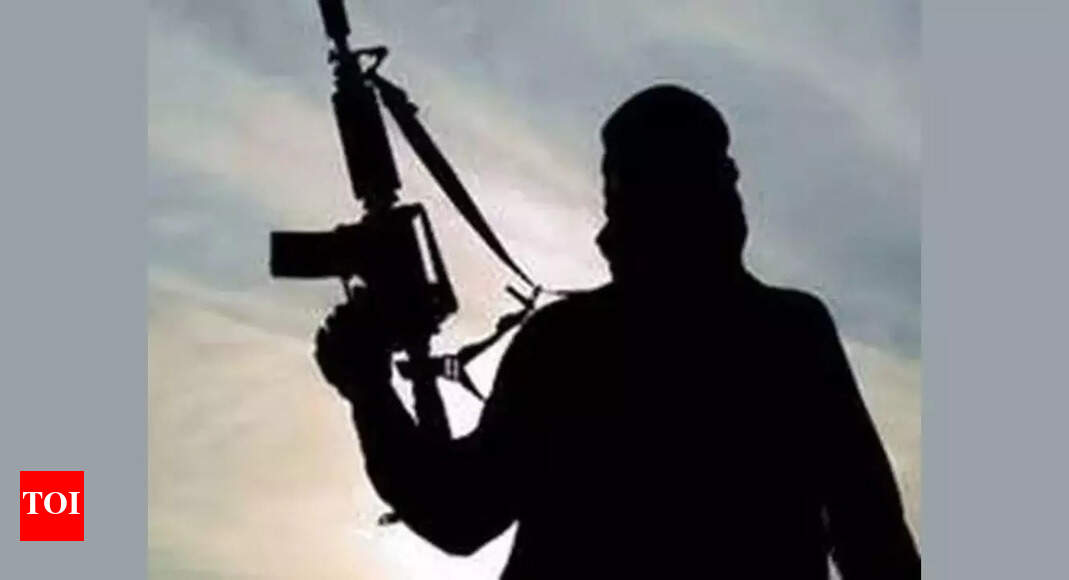 Two Naxalites killed in encounter with cops in Chhattisgarh's Bijapur | India News - Vimarsana News