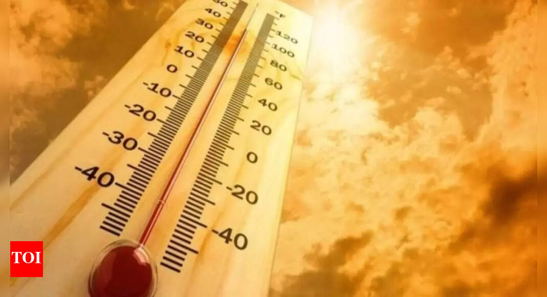 At 47.5°C, Daltonganj sees hottest May day | Ranchi News - Vimarsana News