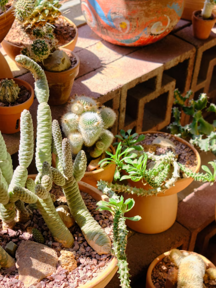 8 Deadliest Plants That Can Kill You Times Now