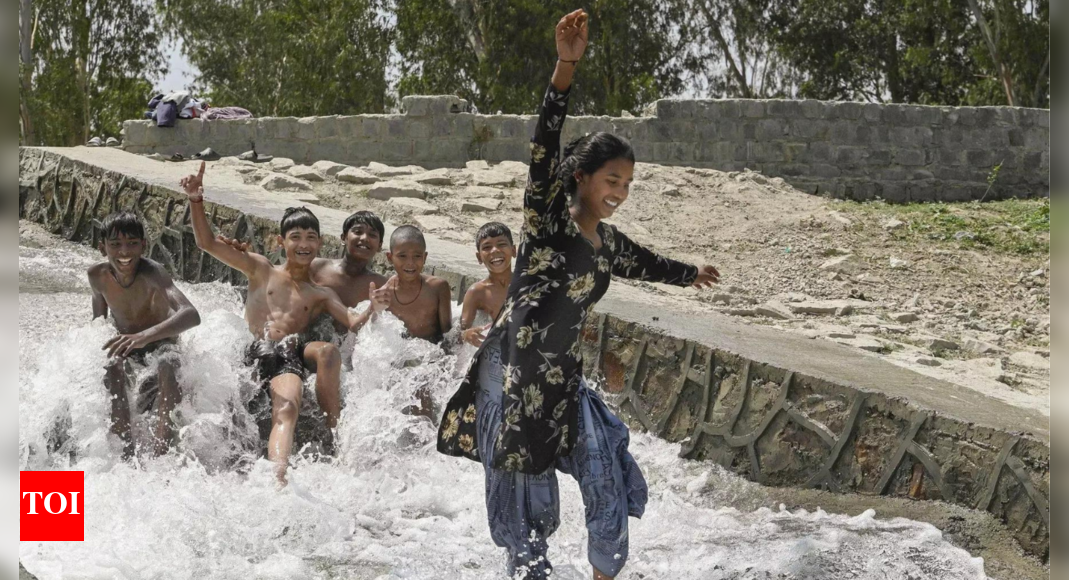 Light rain brings some relief hours after Delhi records highest temperature ever in country | India News - Vimarsana News