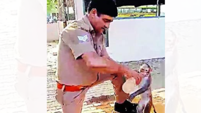 Meerut cop saves heat-hit baby monkey with CPR