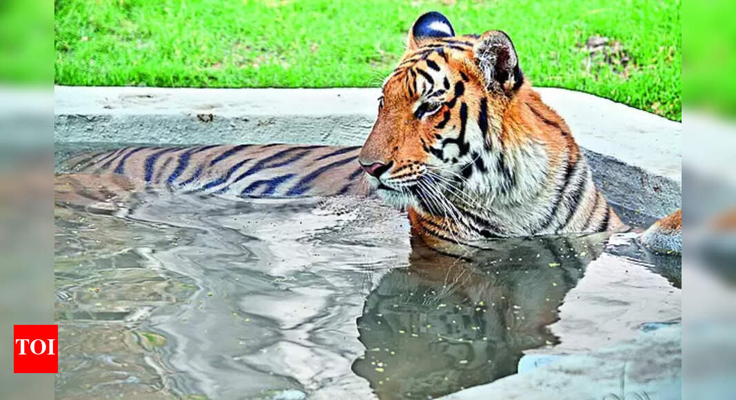 Mercury: City records hottest day as mercury soars to 46.8C | Kanpur News - Vimarsana News