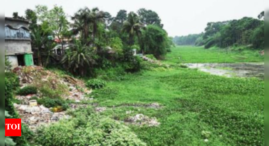 Once a lifeline for 30 lakh, dying river turns into poll issue | India News - Vimarsana News
