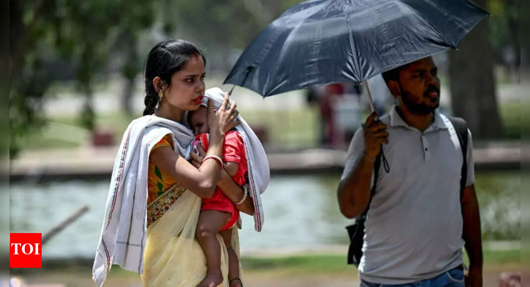 'Error in sensor or local factors': IMD starts probing Delhi's 52.9°C | Delhi News - Vimarsana News
