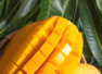 Mango Benefits: 10 reasons that make it the king of all fruits