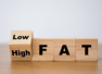 Harmful effects of a high fat diet and obesity on your body