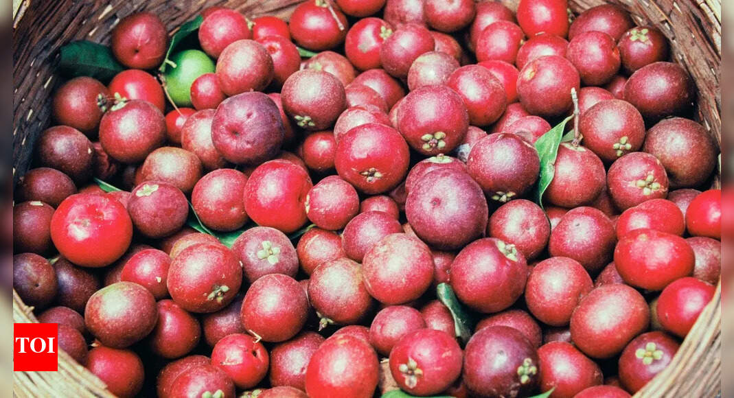 Kokum Health Benefits and Threat of Extinction by 2025 | - The Times of ...