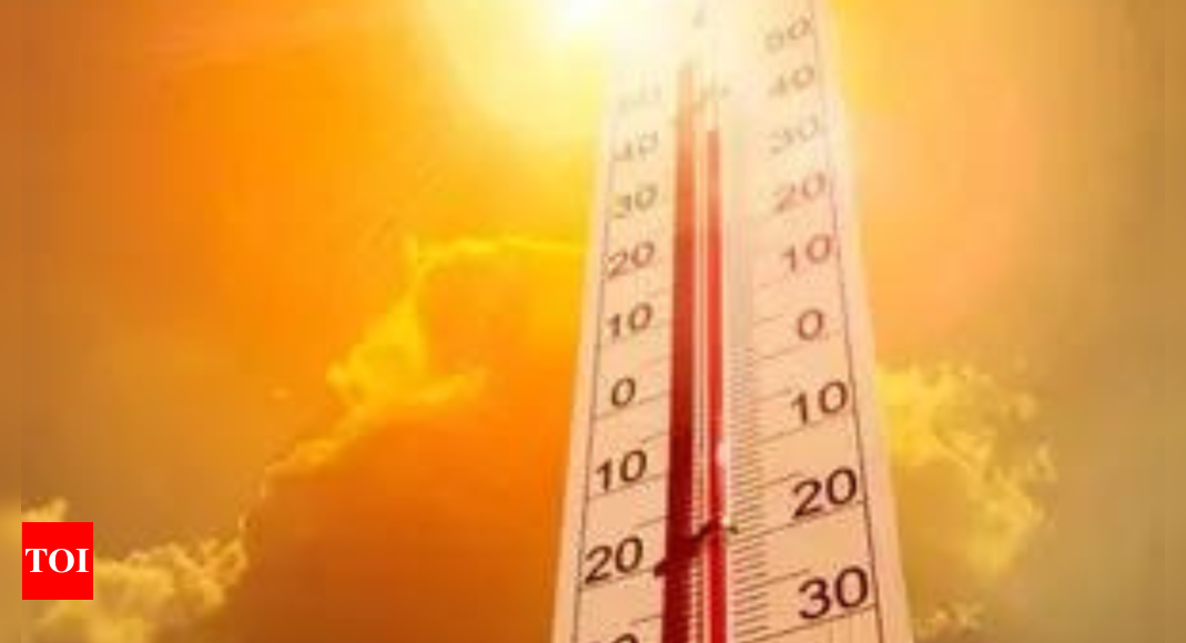 In 36 hours, heat claims 22 lives across 3 states