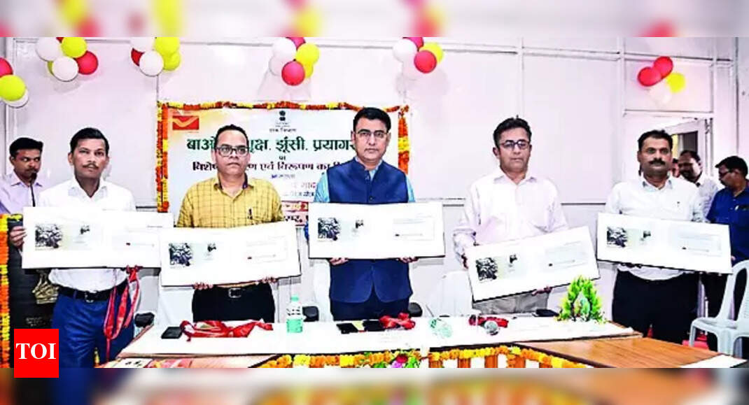 Baobab Tree: Special Cover Released on Centuries-Old Baobab Tree of Jhunsi | Allahabad News - Vimarsana News