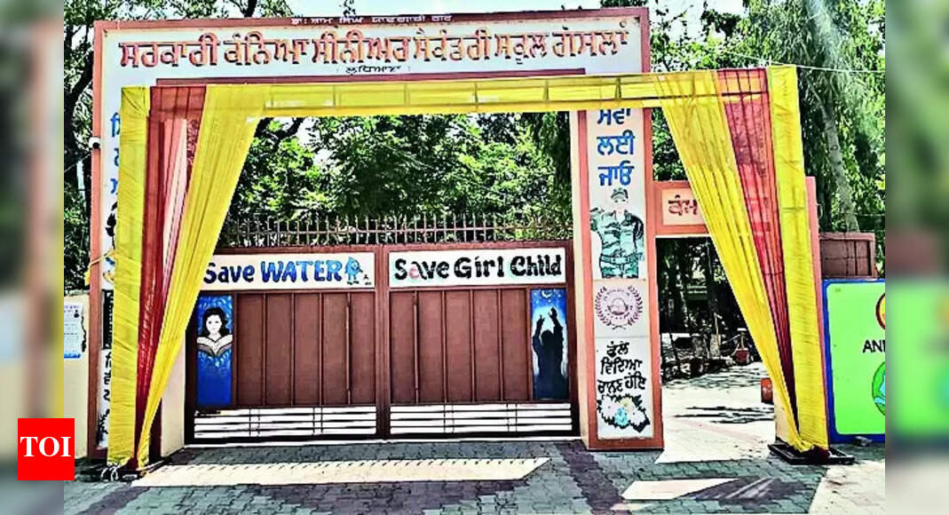 Polling Booths: Red Carpets Laid, Tents Set Up: Schools Prep Booths For D-day | Ludhiana News - Vimarsana News