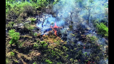 Mines explode after forest fire along LoC