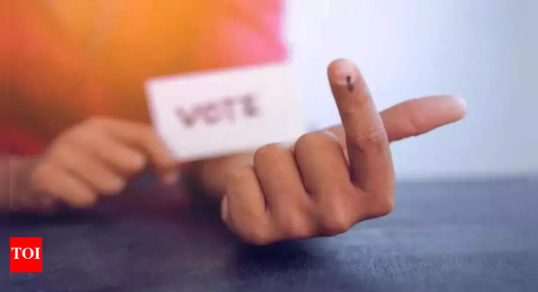 Rajmahal constituency of Jharkhand Lok Sabha Election 2024: Date of voting, result, candidates list, main parties, schedule | India News - Vimarsana News
