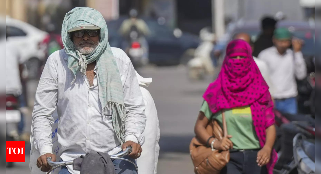 'We do not have planet B': HC urges Centre to declare heatwave national calamity | India News - Vimarsana News