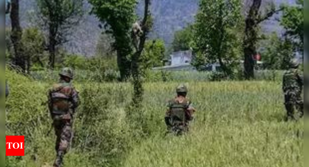 Search underway in J&K's Poonch after gunfight with terrorists