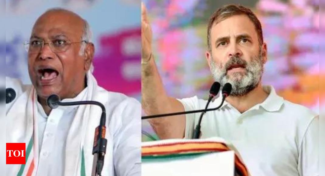 ‘Our great leader’ Rahul Gandhi is my PM choice: Kharge
