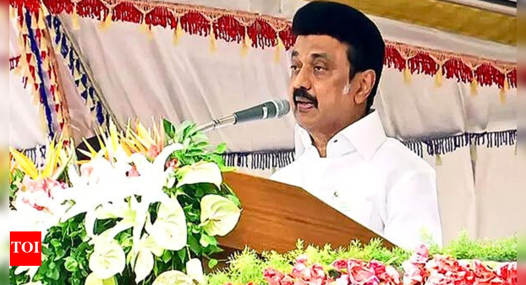 'INDIA bloc stands on the cusp of victory': Tamil Nadu CM MK Stalin on ...