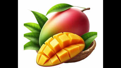 National mango festival at IGKV Raipur: A celebration of 150 mango ...