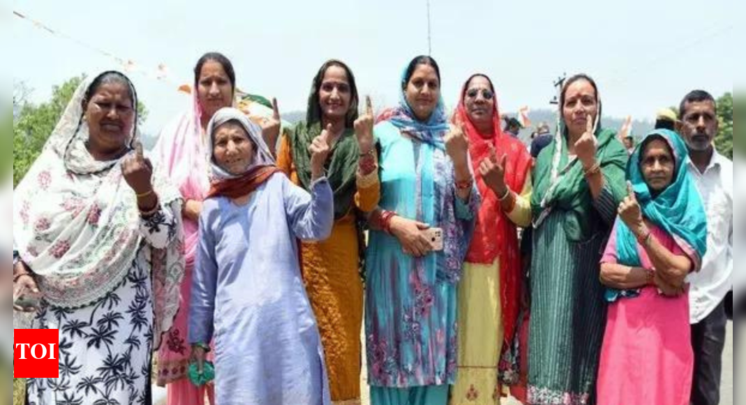Jharkhand records 67.95% voter turnout in 3 Lok Sabha seats | India News - Vimarsana News