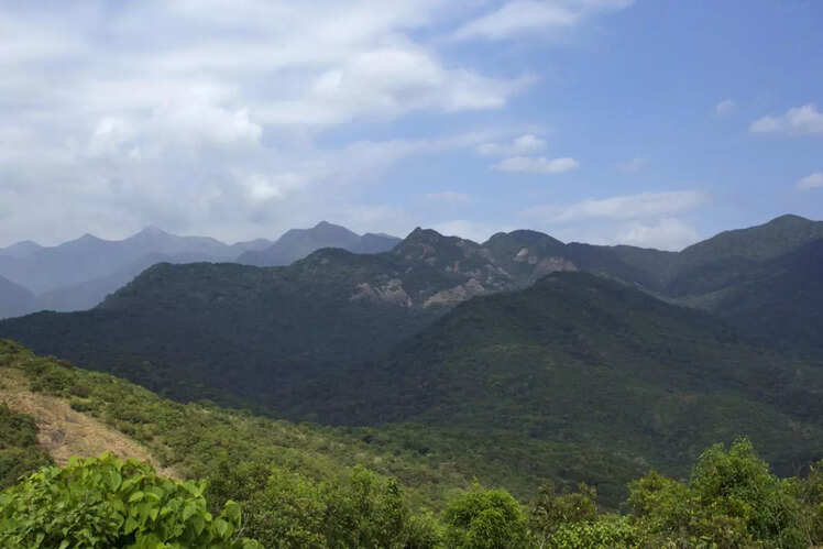 Silent Valley National Park, Palakkad