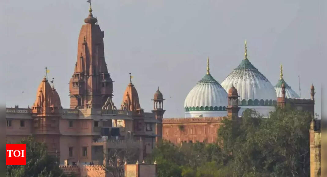 Allahabad HC reopens Shahi Idgah case, to hear Muslim side on June 4 | India News - Vimarsana News