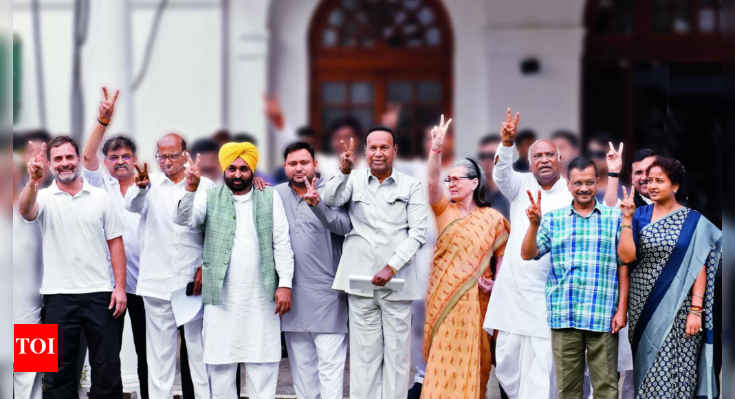 Opposition alliance will win over 295 seats: Kharge | India News - Vimarsana News