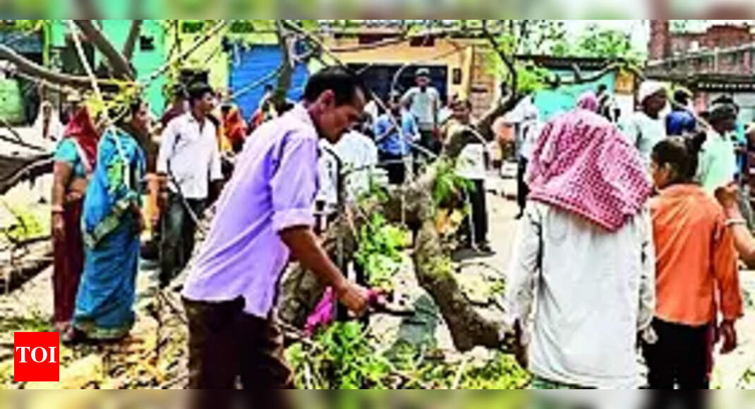 Women Die: Two Women Die as Tree Falls on Them | Ranchi News - Vimarsana News