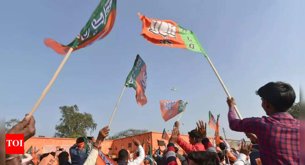 Borduria Bogapani Assembly Election Result 2024: BJP's Wanglin