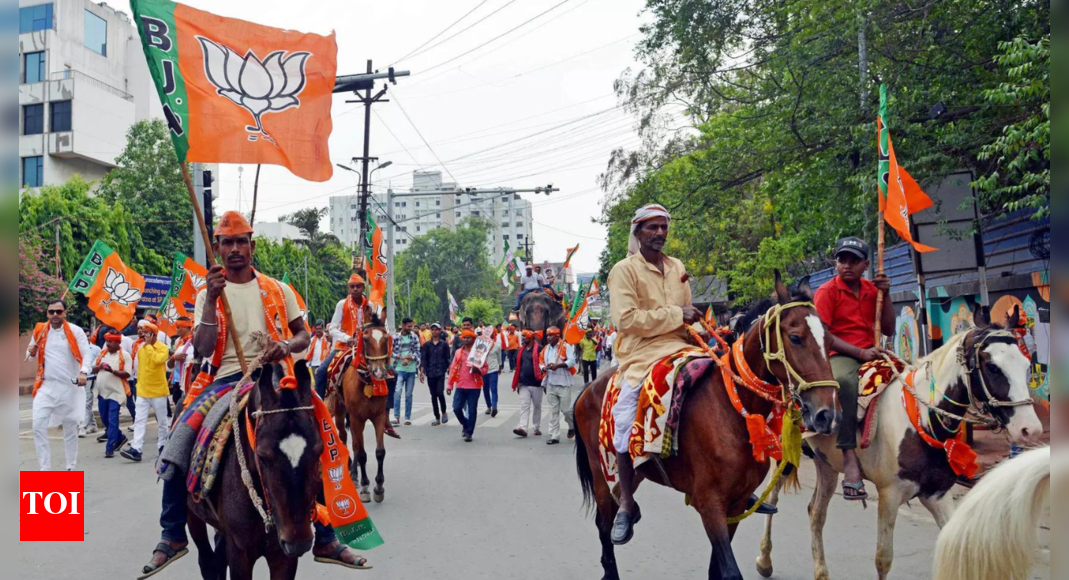 Raga Assembly Election Result 2024: BJP's Rotom Tebin wins | Itanagar ...