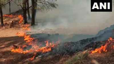 Fire engulfs Gangera hills in Jammu & Kashmir's Udhampur