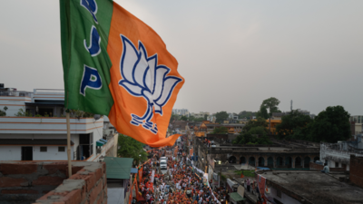 Nacho Assembly Election Result 2024: BJP's Nakap Nalo wins