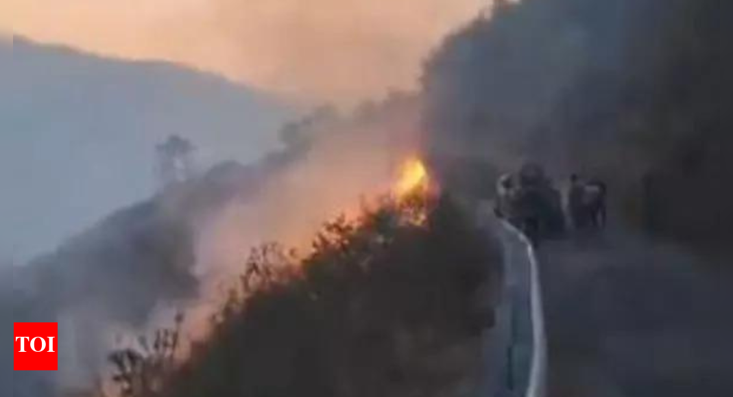 After wildfires, rain brings relief in parts of Uttarakhand | India News - Vimarsana News