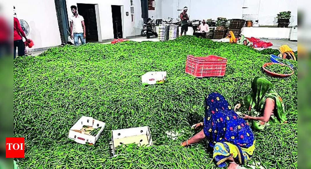Agri Export: Apeda's huge strides in agri export in 5 years of inception | Varanasi News - Vimarsana News