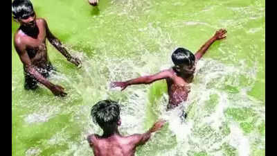 Three kids drown while swimming in Lakhimpur city, Bareilly