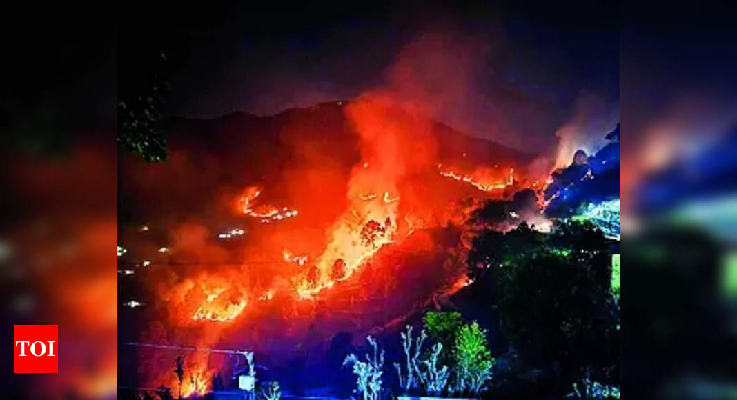 Rain brings relief to Uttarakhand from fires