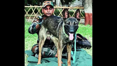 12 new sniffer dog squads to boost wildlife protection at tiger reserves in seven states