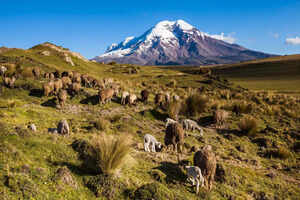 Exploring the premier hiking destinations on Chimborazo Day