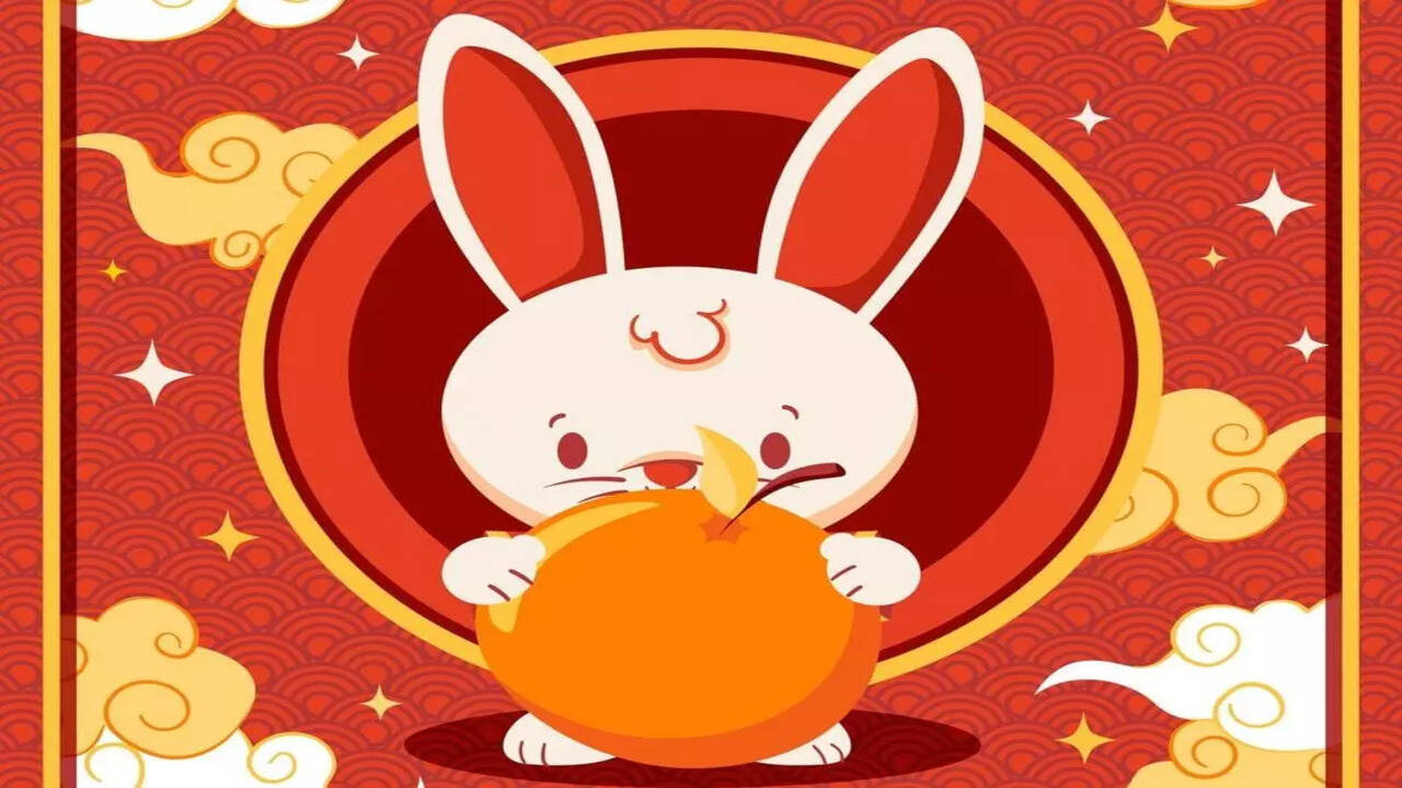 Rabbits Romp Through Love: Seeking Peace and Tranquillity in a Partner -  The Times of India