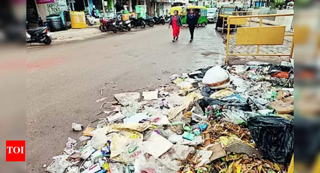 Garbage Collection: HDMC faces shortage of auto tippers for waste collection | Hubballi News - Vimarsana News