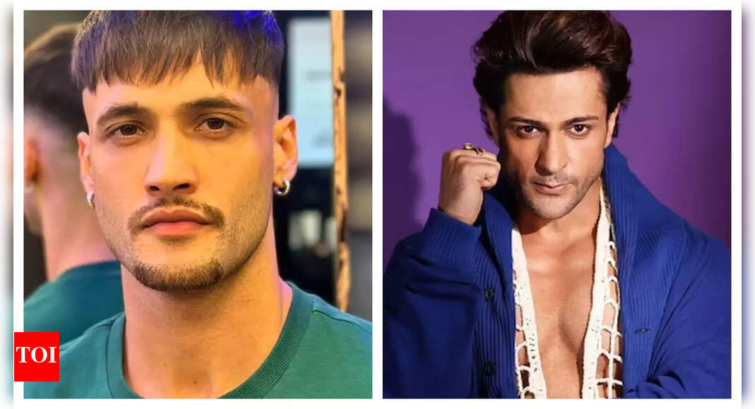 Khatron Ke Khiladi 14: Asim Riaz engages in ugly fight with Shalin Bhanot, verbally abuses him - Vimarsana News
