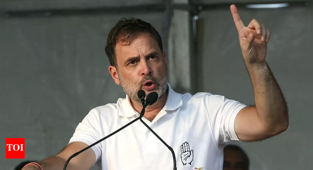 Congress Leader Rahul Gandhi Leading From Wayanad Rae Bareli Lok Sabha