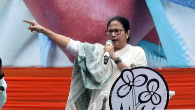 'PM Modi 'broke' many parties, people broke his morale,' Mamata Banerjee on Lok Sabha results