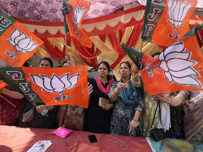 New territories help BJP compensate for losses