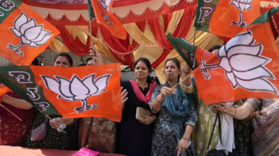 No farewell to welfare: BJP may loosen purse strings