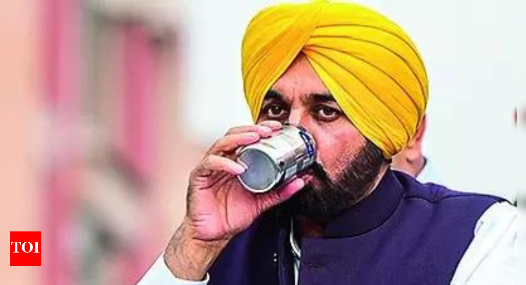 Out of Arvind Kejriwal's shadow, lone ranger Bhagwant Mann brings AAP consolation prize | India News - Vimarsana News