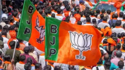 BJP sails on the coast in Karnataka