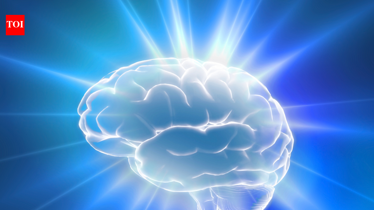 5 basic exercises that help increase brain power
