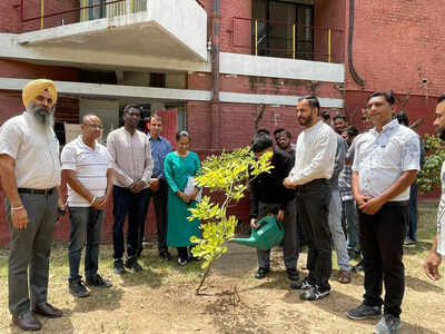 Plant adoption drive on ‘World Environment Day’ at Panjab University