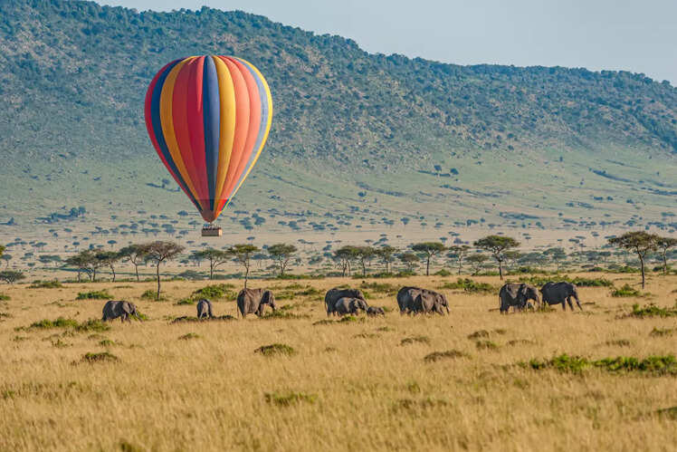 Diverse safari activities